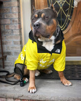 Waterproof Dog Jacket - petdealspot